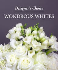 Designer's Choice - White & Light