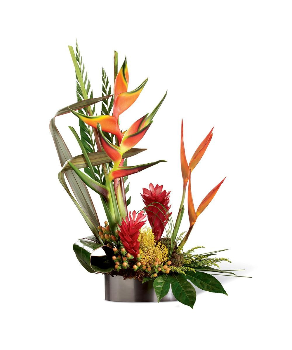 Island Breeze Tropical Flower Arrangement Flowers by Coley NV